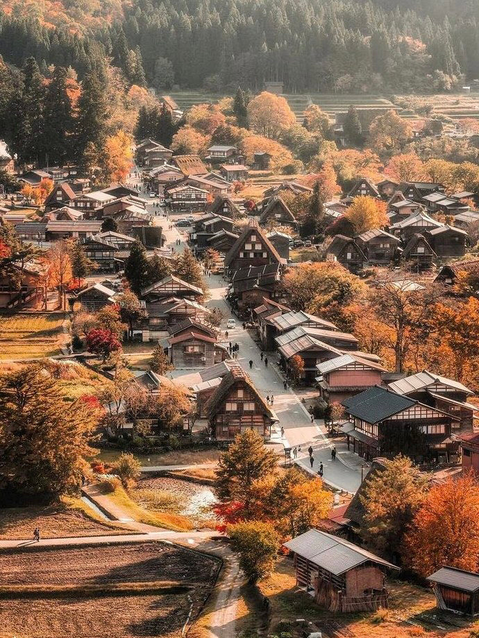 See the world heritage in Shirakawa-go, enjoy the snow, light up the lights, eat, and be happy